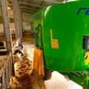 RAMBO, Mixere verticale tractate cu 1 melc 4 Mixere verticale tractate RAMBO cu 1 melc