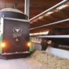 Robot de furajare Shuttle Eco